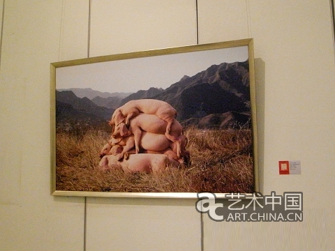 跨界天才左小祖咒艺术品成都首展